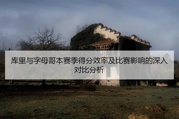库里与字母哥本赛季得分效率及比赛影响的深入对比分析（YX SPORTS）