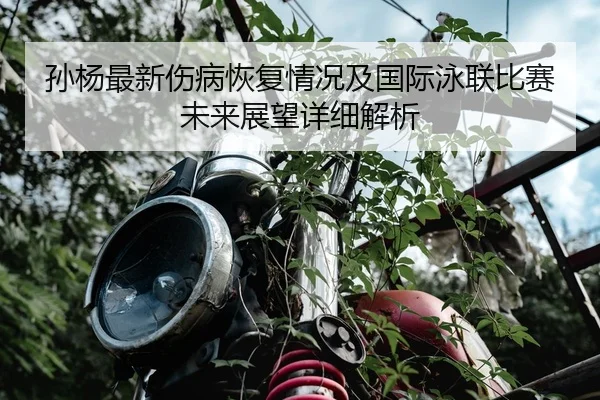 孙杨最新伤病恢复情况及国际泳联比赛未来展望详细解析