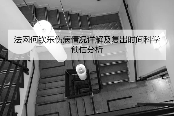 法网何钦东伤病情况详解及复出时间科学预估分析